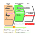 TOYOBO SuperPrep™ II Cell Lysis & RT Kit for qPCR