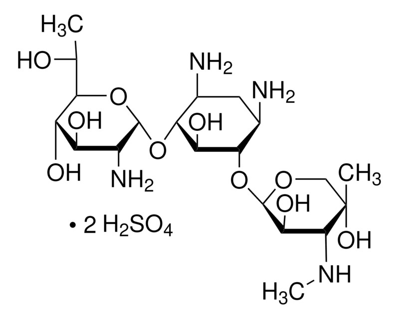 Sigma-Aldrich® L-Glutamine solution 200 mM