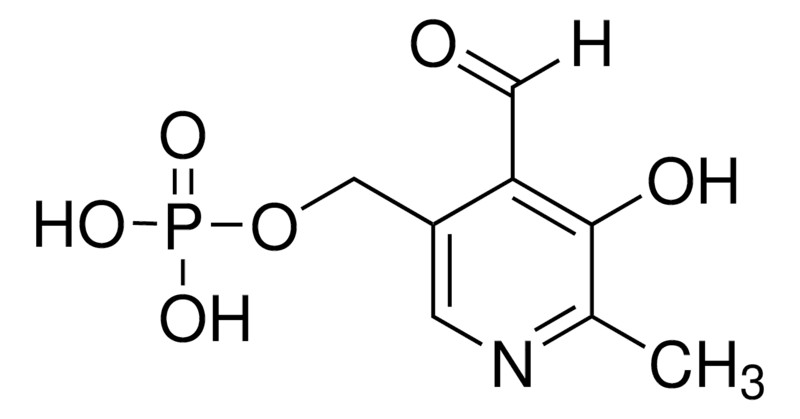 Sigma-Aldrich® MEM Amino Acids (50x) solution, 100ML (สำเนา)