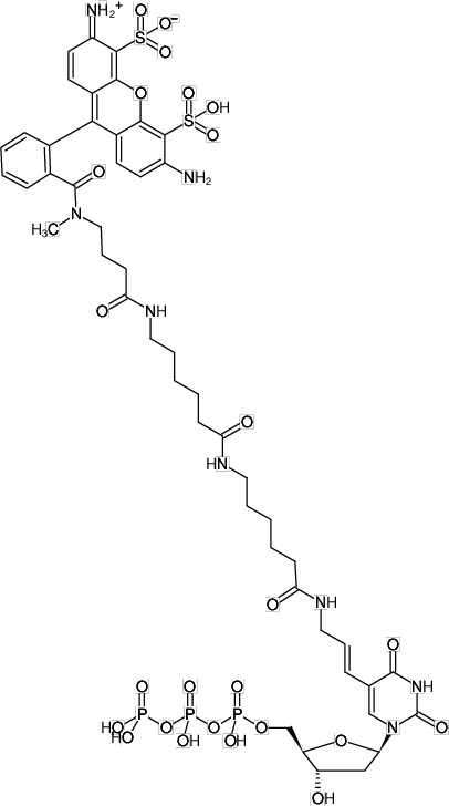 Jena Bioscience™ Alkaline Phosphatase (ALP) Activity Kit (สำเนา)