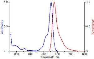 Jena Bioscience™ Atto488 NT Labeling Kit 50 reactions  (สำเนา)