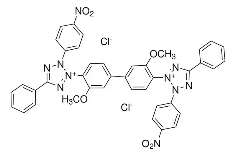 Sigma-Aldrich® N,N-Dimethylformamide Molecular Biology, ≥99% (สำเนา)