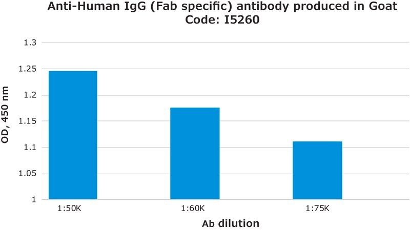 Sigma-Aldrich® Anti-HP1γ Antibody, clone 42s2