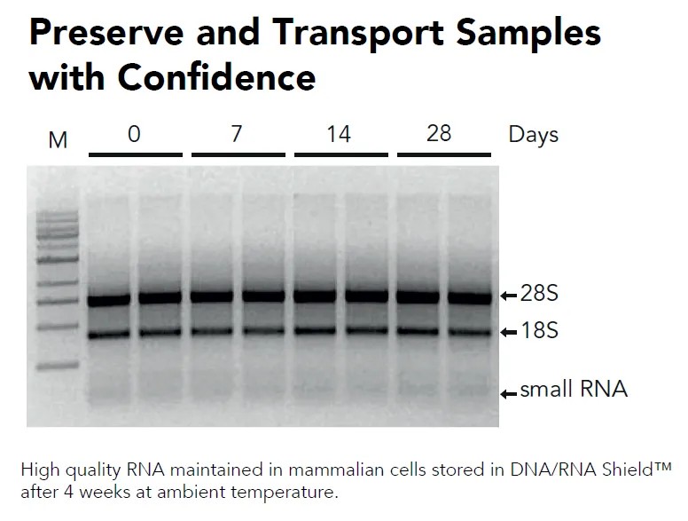 Q RëC™ ,N-DIMETHYLFORMAMIDE (DMF) 99.8% (AR), 2.5L. (สำเนา)