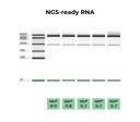 ZYMO RESEARCH® Quick-RNA™ MiniPrep Plus Kit (50 Preps.)