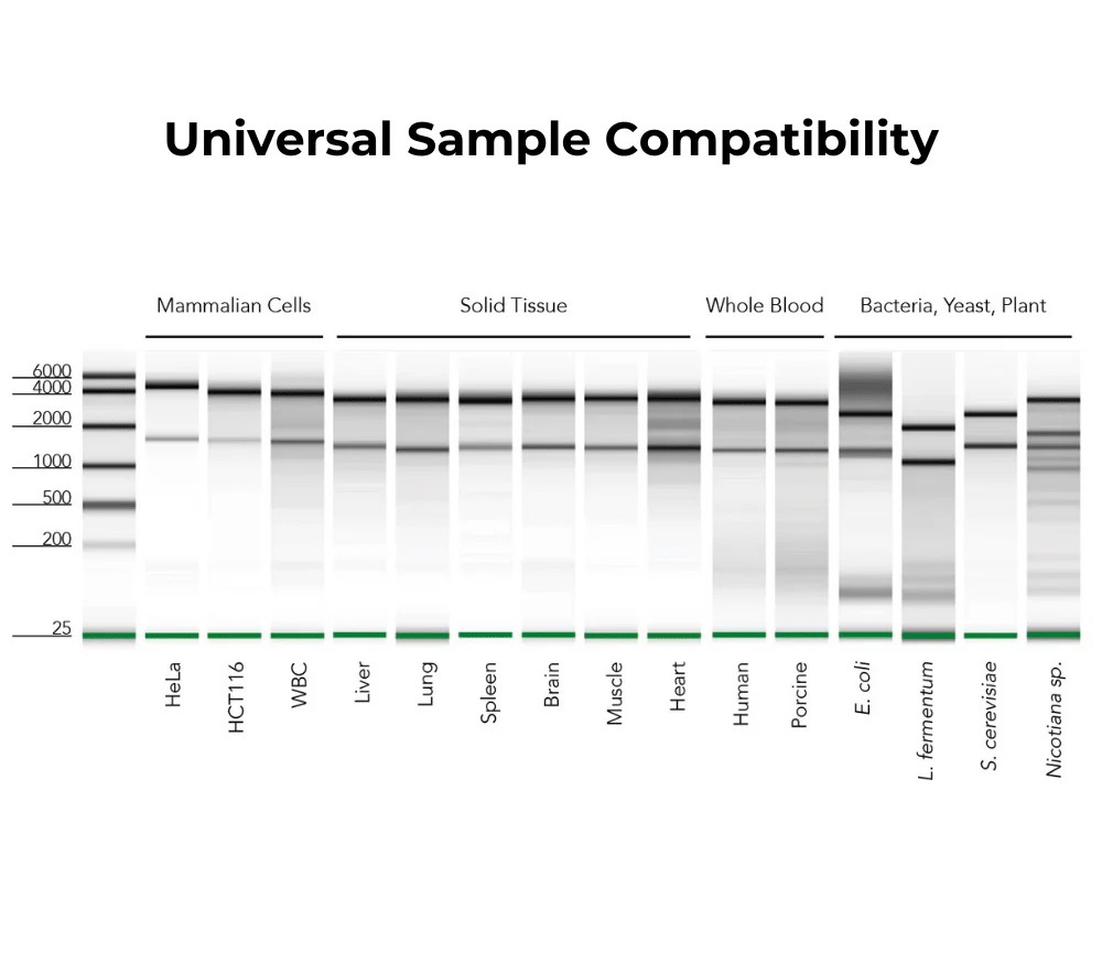 ZYMO RESEARCH® Quick-RNA™ MiniPrep Plus Kit (50 Preps.)