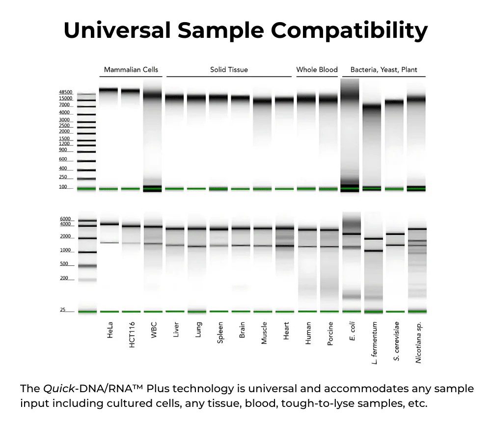 ZYMO RESEARCH® Quick-DNA/RNA MiniPrep Plus Kit (50 Preps.)