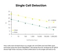 ZYMO RESEARCH® Quick-DNA/RNA MiniPrep Plus Kit (50 Preps.)