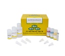 ZYMO RESEARCH® Quick-DNA/RNA MiniPrep Plus Kit (50 Preps.) (สำเนา)