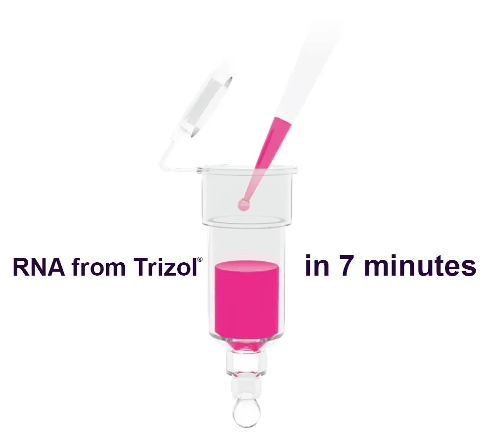 ZYMO RESEARCH® Direct-zol™ RNA MiniPrep (50 Preps.) (สำเนา)