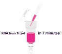 ZYMO RESEARCH® Direct-zol™ RNA MiniPrep (50 Preps.) (สำเนา)