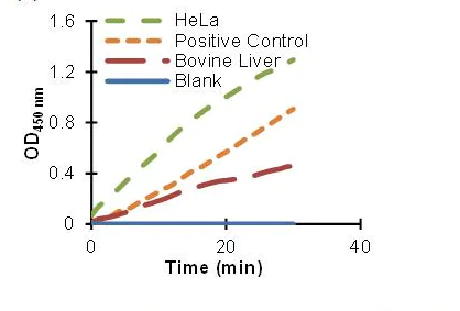 abcam 6-Phosphofructokinase Activity Assay Kit (Colorimetric)
