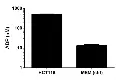 abcam ADP Assay Kit (Colorimetric/Fluorometric)
