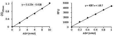abcam ADP Assay Kit (Colorimetric/Fluorometric)