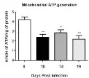 abcam ATP Assay Kit (Colorimetric/Fluorometric)