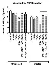 abcam ATP Assay Kit (Colorimetric/Fluorometric)