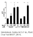 abcam ATP Assay Kit (Colorimetric/Fluorometric)