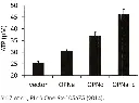 abcam ATP Assay Kit (Colorimetric/Fluorometric)
