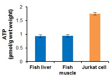 abcam ATP Assay Kit (Colorimetric/Fluorometric)