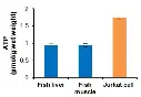 abcam ATP Assay Kit (Colorimetric/Fluorometric)