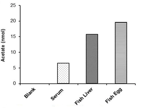 abcam Acetate Assay Kit (Colorimetric)