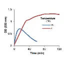 abcam Acetoacetate Assay Kit (Colorimetric)