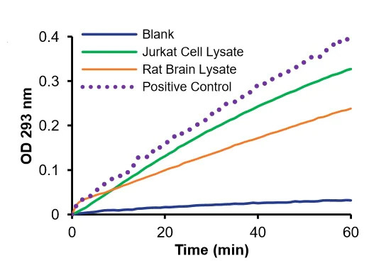 abcam Adenosine Deaminase (ADA) Activity Assay Kit (Colorimetric)