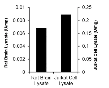 abcam Adenosine Deaminase (ADA) Activity Assay Kit (Colorimetric)