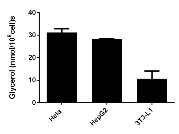 abcam Adipogenesis Detection Assay Kit (Colorimetric/Fluorometric)