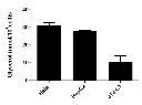 abcam Adipogenesis Detection Assay Kit (Colorimetric/Fluorometric)