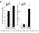 abcam Alanine Transaminase Activity Assay Kit (Colorimetric/Fluorometric)
