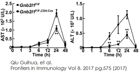 abcam Alanine Transaminase Activity Assay Kit (Colorimetric/Fluorometric)