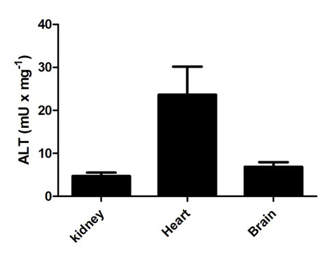 abcam Alanine Transaminase Activity Assay Kit (Colorimetric/Fluorometric)