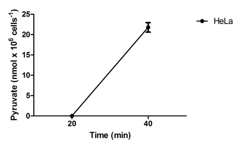 abcam Alanine Transaminase Activity Assay Kit (Colorimetric/Fluorometric)