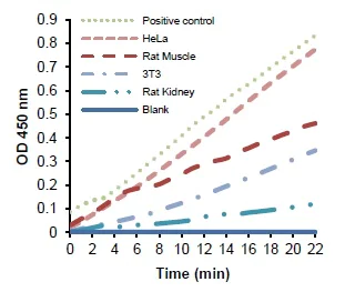 abcam Alanine Transaminase Activity Assay Kit (Colorimetric/Fluorometric)