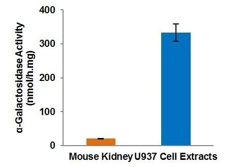 abcam Alpha Galactosidase Activity Assay Kit