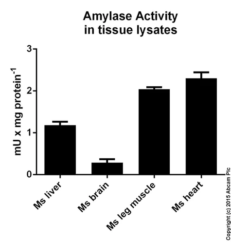 abcam Amylase Assay Kit (Colorimetric)