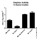 abcam Amylase Assay Kit (Colorimetric)
