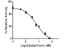 abcam Angiotensin Converting Enzyme 1 (ACE1) Inhibitor Screening Kit (Colorimetric)