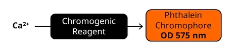 abcam Calcium Assay Kit (Colorimetric)