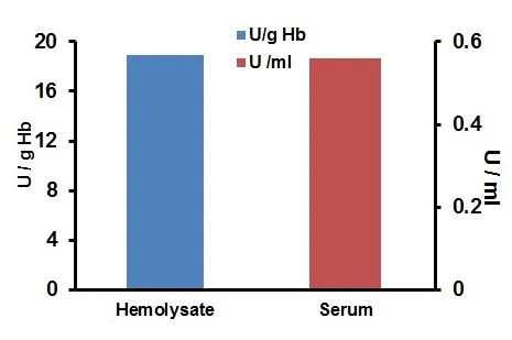 abcam Carbonic Anhydrase (CA) Activity Assay Kit (Colorimetric)