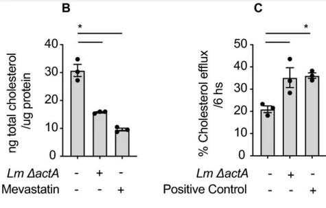 abcam Cholesterol/ Cholesteryl Ester Assay Kit - Quantitation