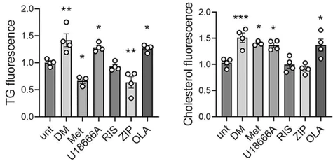 abcam Cholesterol/ Cholesteryl Ester Assay Kit - Quantitation