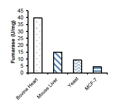 abcam Fumarase Activity Assay Kit (Colorimetric)