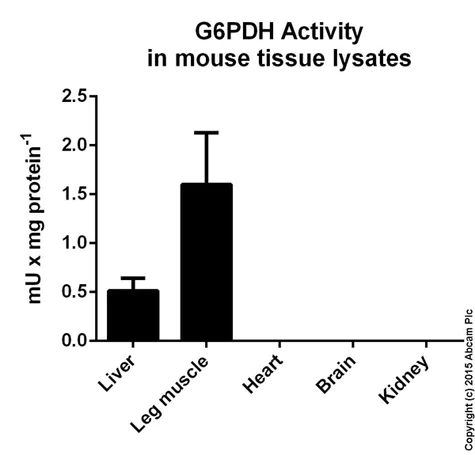 abcam Glucose 6 Phosphate Dehydrogenase Assay Kit (Colorimetric)