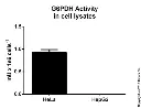 abcam Glucose 6 Phosphate Dehydrogenase Assay Kit (Colorimetric)