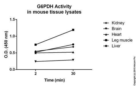 abcam Glucose 6 Phosphate Dehydrogenase Assay Kit (Colorimetric)