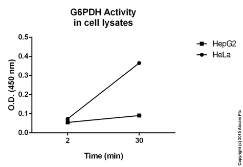 abcam Glucose 6 Phosphate Dehydrogenase Assay Kit (Colorimetric)