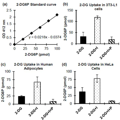 abcam Glucose Uptake Assay Kit (Colorimetric)