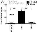 abcam Glucose-6-Phosphate Assay Kit (Colorimetric)